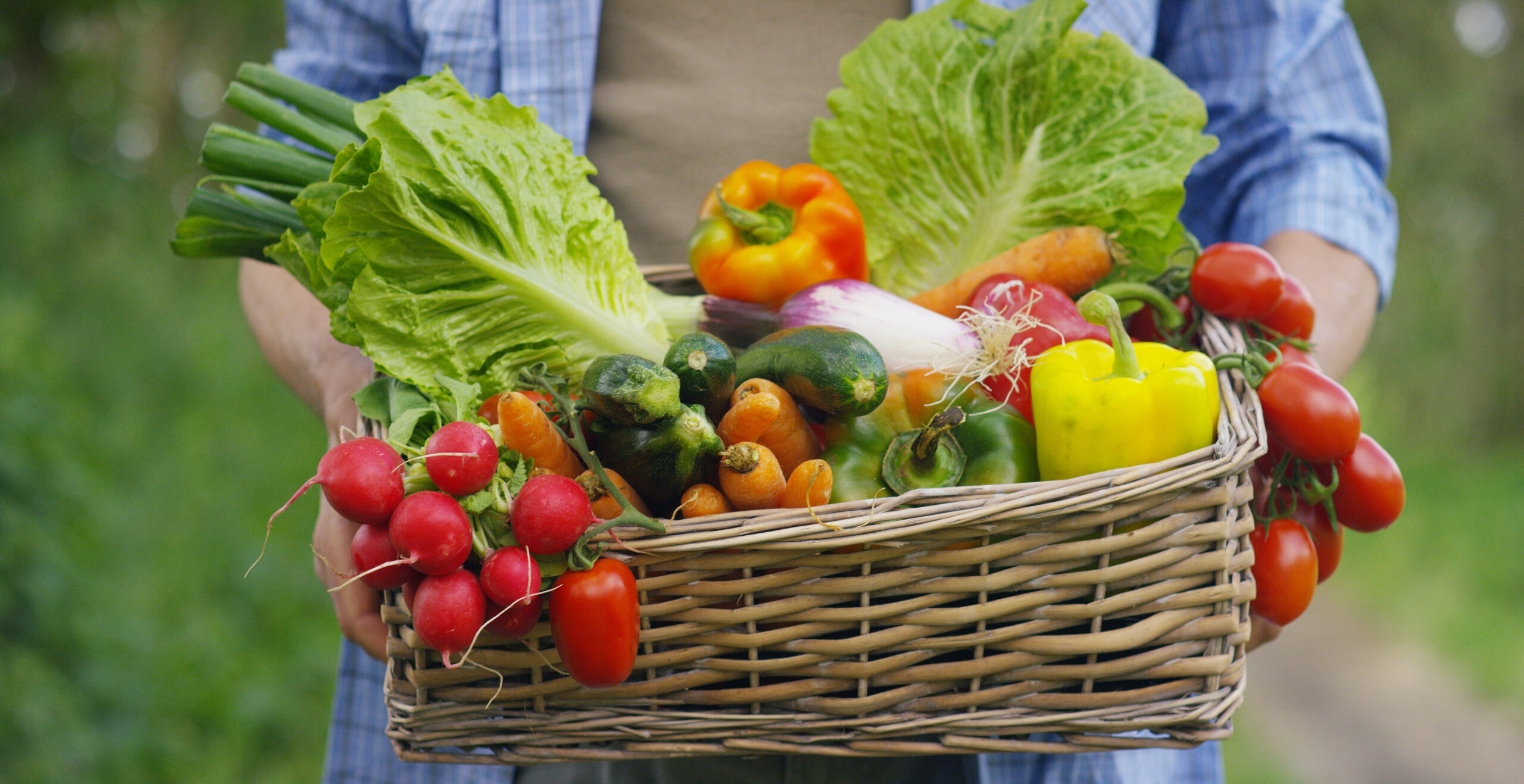 Growing a Traditional Victory Garden